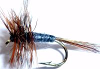 Adams Dry fly #  14/DR 15