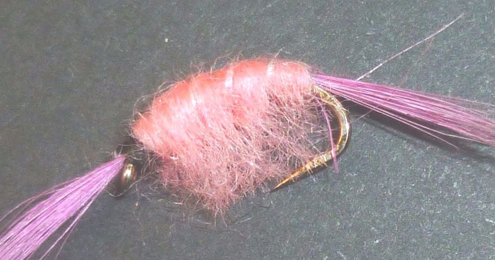 Shrimp - Pink[SH12]