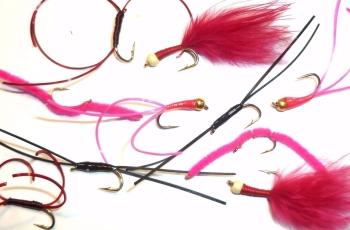Bloodworms ,10  x Trout flies, assorted patterns