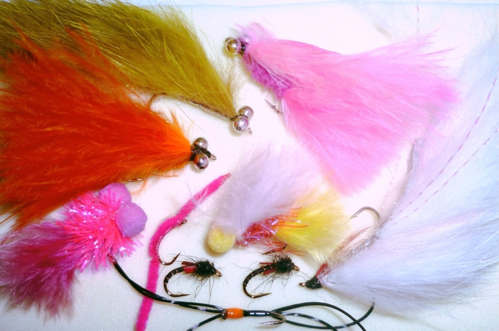 Spring  selection for uk stillwaters,10  Trout flies assorted patterns