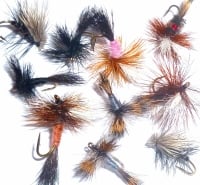 Dry Flies ,10  x Trout flies, assorted patterns