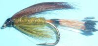 Golden Olive,wet fly  (W 30)