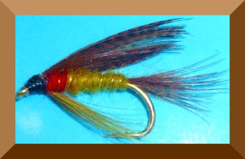 Cock Robin,wet fly  (W 33)