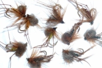 Hoppers ,CDC  loopwing ,10  x Trout flies assorted patterns