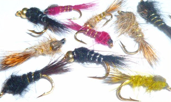 Hare's ears ,10  x Trout flies,assorted colours
