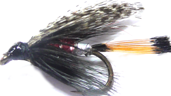 The Peter Ross,wet fly  (W 37)