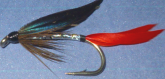 Silver Butcher,Sea trout  fly #12  (ST1)