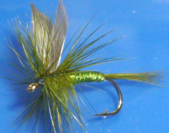 Blue Winged Olive  Dry fly #14 /DR 47