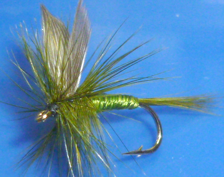 Blue Winged Olive  Dry fly #12 /DR 35