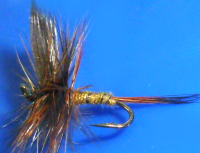 Wickhams Fanc #14 /DR 56