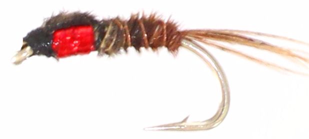 Nymph ,Pheasant tail Sawyers holo red  , N50