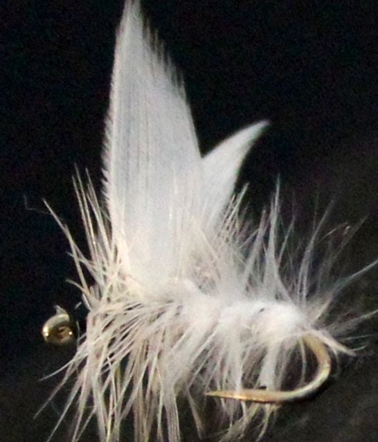 White Moth #14 /DR50