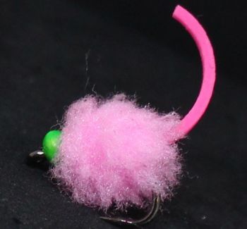 Eggstasy  egg ,Candy Pink  -Tailed hot head Green/ E85