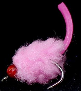 Eggstasy  egg ,Candy Pink  -Tailed hot head Red/ E86
