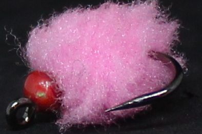Eggstasy  egg ,shrimp  Pink  - hot head Red/ E87
