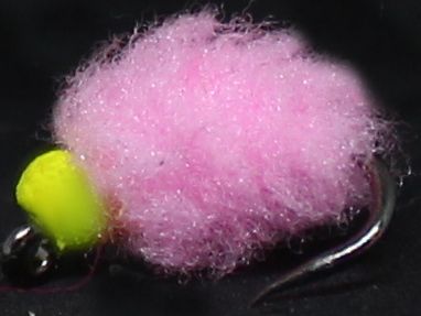 Eggstasy  egg ,shrimp  Pink  - hot head  Yellow E88