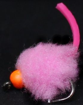 Eggstasy  egg ,Candy Pink  -  Tailed hot head  Orange E93