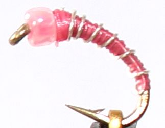 Buzzer -Fire bug midge pink  #16[BH20]