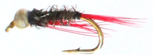 Diawl Bach ,weighted ,variant ,red  tailed #12 [WDB 17]