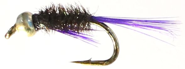 Diawl Bach ,weighted ,Purple tailed ,#12 [WDB 47]