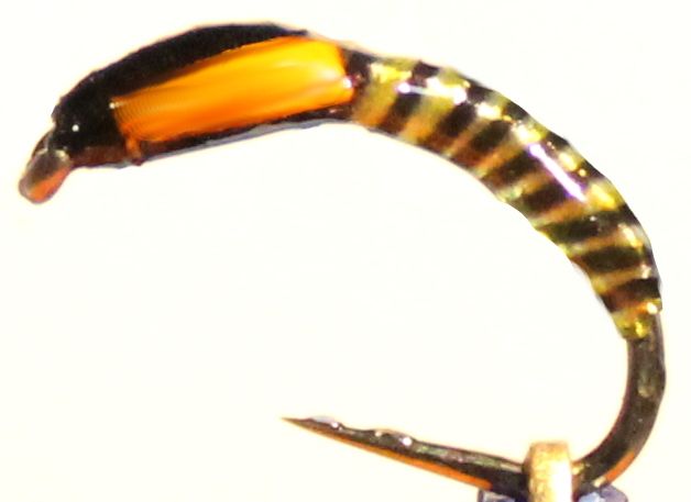 Buzzer ,synthetic Quill ,black,yellow,orange barbless #12  [Q32]