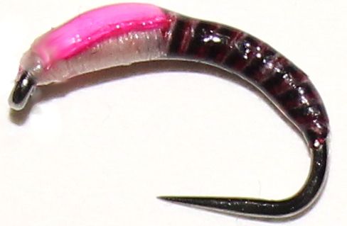 Buzzer ,synthetic Quill black,claret,pink, barbless #12  [Q34]