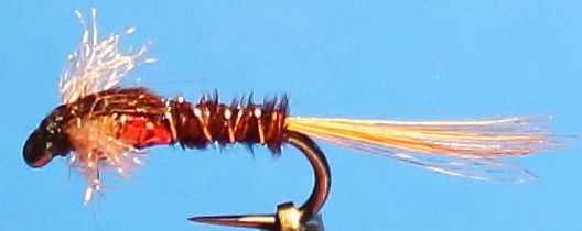 Muskin ,brown, red collar,barbless # 12 [MUSK 9]