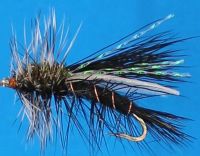 Seducer -Black /DR 2