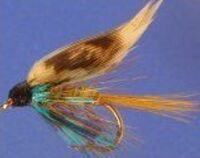 Invicta wet fly #10 (W22)