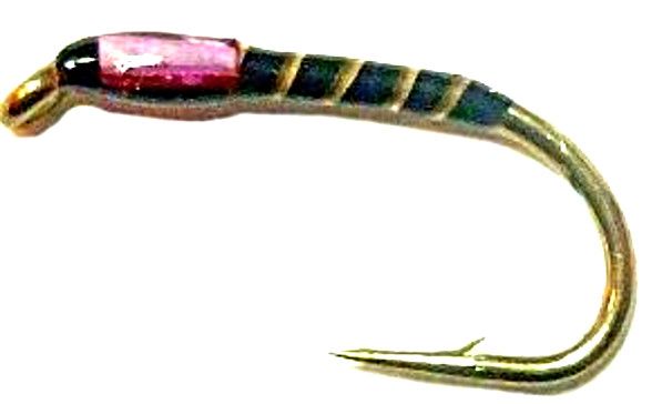 Buzzer - Black-Pink-stripped quill #12 -Q4