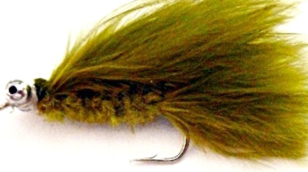 5 x   Cats whisker ,Olive #10 barbed [CAT 8]