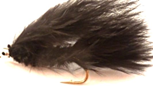 5 x   Cats whisker, Black  #10 barbed  [CAT10].  S