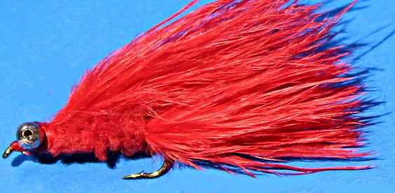 5 x   Cats whisker,Red #12 BARBED   [CAT16]