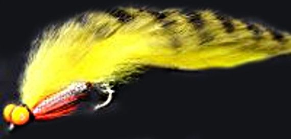 5  X  Zonker -Tiger barred Yellow /Olive with Orange hot head  # 10 barbed 