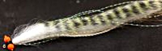 5 X   Snake fly-Tiger barred White /Olive ,Orange hot head # 10 barbed [SF 
