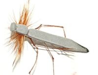 Daddy long legs - Grey foam  #12 Barbed [DAD 4]