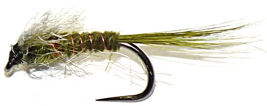 Muskin ,olive, red collar,barbless # 12 [MUSK 8]