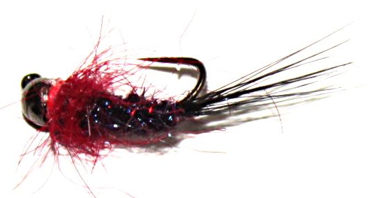 Grayling fly ,Black lite-brite and Red# 12, Tungsten  [GR4]