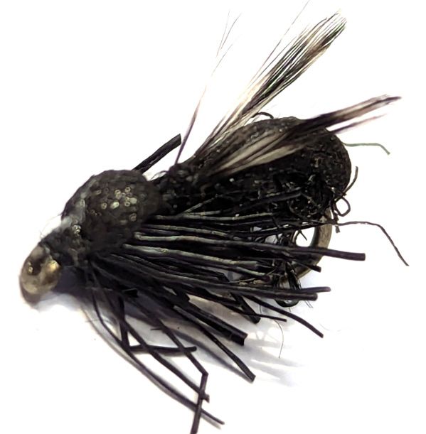 5 X   Winged black Ant #14 barbed ,terrestrial   [T5]