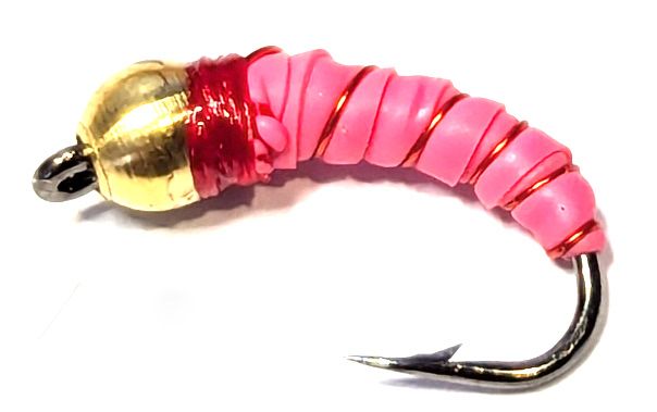 Maggot-latex-Gold Head-pink #12 barbed  [mag 9]