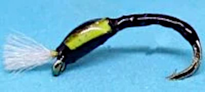 10 X  Buzzer - Black-Lime-stripped quill -Breathers #12 [Q9]