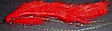 10 X Snake fly Red # 10 barbed unweighted ,SF 4