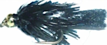 10 X Blob,jelly,Black,Gold head #10 barbed /BL51