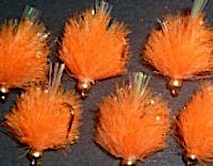 10 X  Blob - orange and Pearl - Gold head #10 barbed /BL24