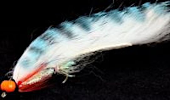 10 x   Zonker -Tiger barred white / blue with Orange hot head # 10 barbed [Z 72]