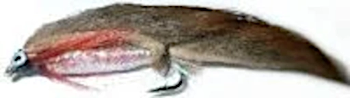 10 x   zonker -Brown with Pearl Mylar body and red throat hackle # 10 barbed, /Z32