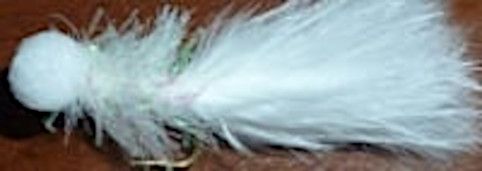 10 X  Booby- White # 12/ BB 36