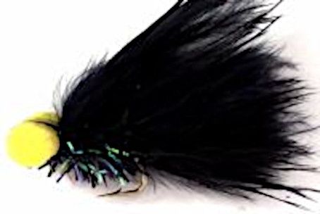10 X  Booby - Black and Yellow / BB 19