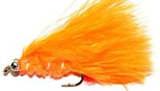 10 x CATS WHISKERS