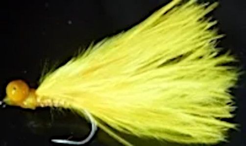 10 X  Cats whisker,Yellow ,with yellow eyes #10 barbed [CAT 6]
